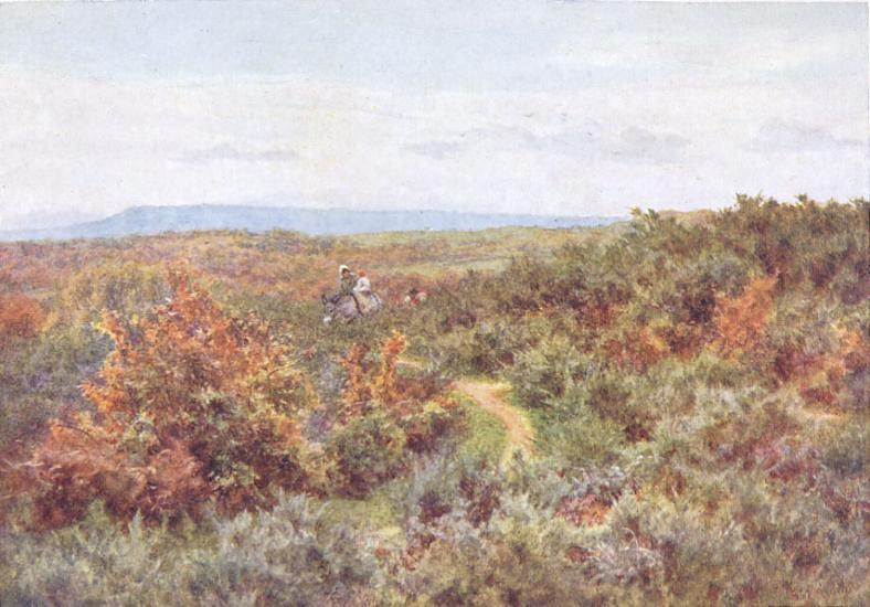 Blackdown from Witley Common