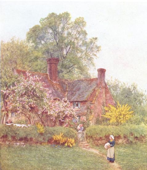 Cottage at Chiddingfold