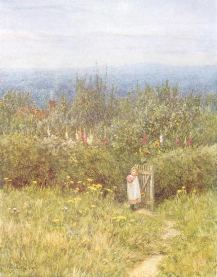 From Sandhills Common, Witley, Surrey