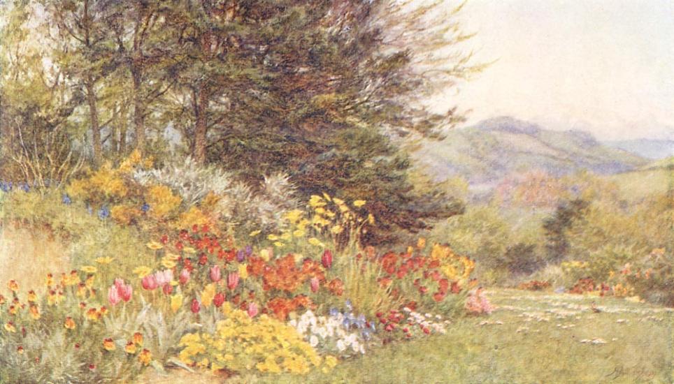 A Dorset Garden