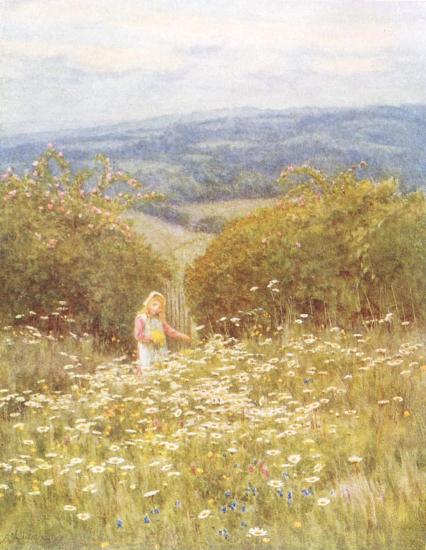 When the Grass is Full of Flowers and the Hedge is Full of Bowers